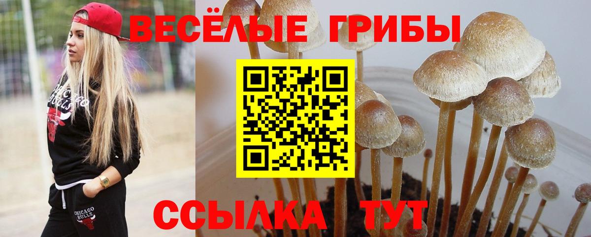 Первоуральск  Галлюциногенные грибы прущие грибы  Псилоцибиновые грибы Psilocybe  Вход с VPN 